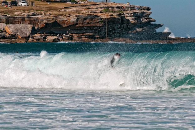 Australia, surferzy Bondi Beach na dużych falach