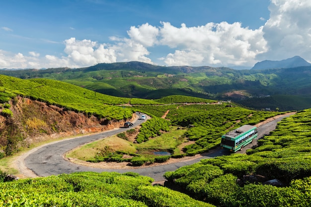 Autobus pasażerski na drodze w plantacjach herbaty, Indie