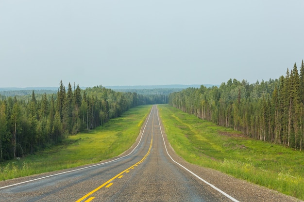 Autostrada W Lesie Kanadyjskim W Sezonie Letnim