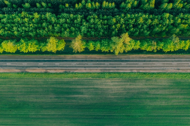 Autostrada w lesie po drugiej stronie drogi.