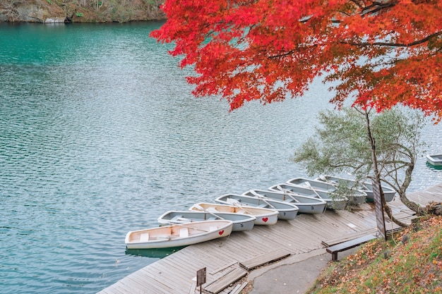 Zdjęcie autumn leaves at goshikinuma (five volcanic lakes or five colours lakes), popularne miejsce w bandai highlands jesienią w prefekturze fukushima w japonii