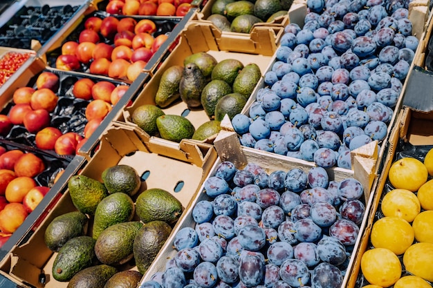 Awokado śliwkowe i inne owoce na sprzedaż w supermarkecie lub na rynku rolników