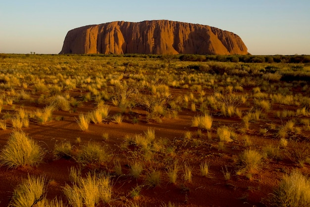 Ayers Rock nazywany Uluru magiczny kamień Aborygenów Yulara Ayers Rock Terytoria Północne