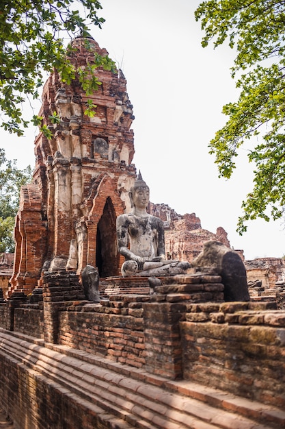 Ayutthaya świątyni ruiny, Wat Maha Który Ayutthaya jako światowego dziedzictwa miejsce, Tajlandia.