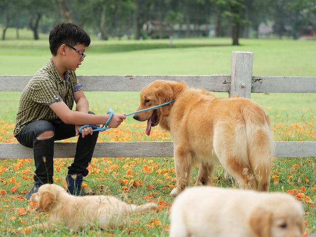 Azjatycka chłopiec bawić się z szczeniaka psa złoty retreiver w parku
