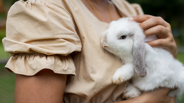 Azjatycka kobieta trzyma i niesie ładny królik z czułością i miłością. Przyjaźń z ślicznym króliczkiem wielkanocnym. Szczęśliwy królik z właścicielem.