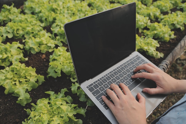 Azjatycka rolniczka używająca cyfrowego tabletu w ogrodzie warzywnym w szklarni Koncepcja technologii rolnictwa biznesowego jakości inteligentny rolnik