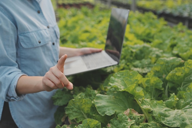 Azjatycka rolniczka używająca cyfrowego tabletu w ogrodzie warzywnym w szklarni Koncepcja technologii rolnictwa biznesowego jakości inteligentny rolnik