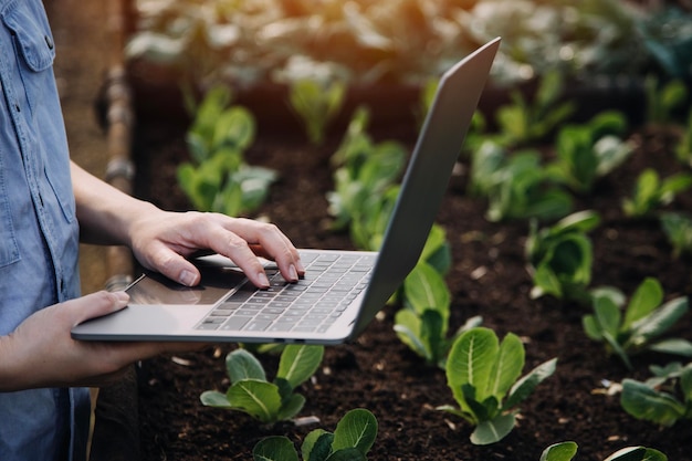 Azjatycka rolniczka używająca cyfrowego tabletu w ogrodzie warzywnym w szklarni Koncepcja technologii rolnictwa biznesowego jakości inteligentny rolnik