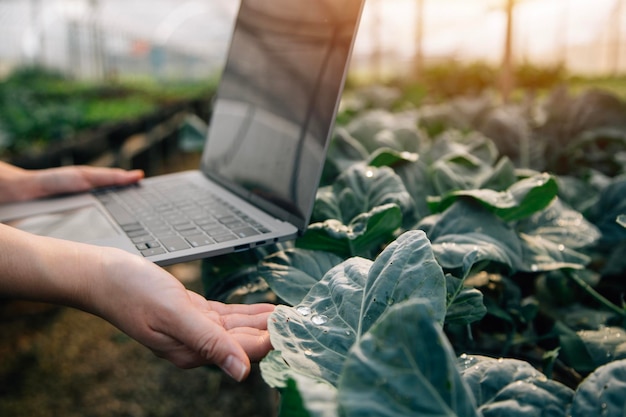 Azjatycka rolniczka używająca cyfrowego tabletu w ogrodzie warzywnym w szklarni Koncepcja technologii rolnictwa biznesowego jakości inteligentny rolnik