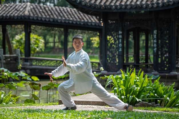 Azjatycki Mężczyzna Pracujący Z Tai Chi W Ranku Przy Parkiem Out, Chińskie Sztuki Samoobrony, Zdrowa Opieka Dla życia Pojęcia.