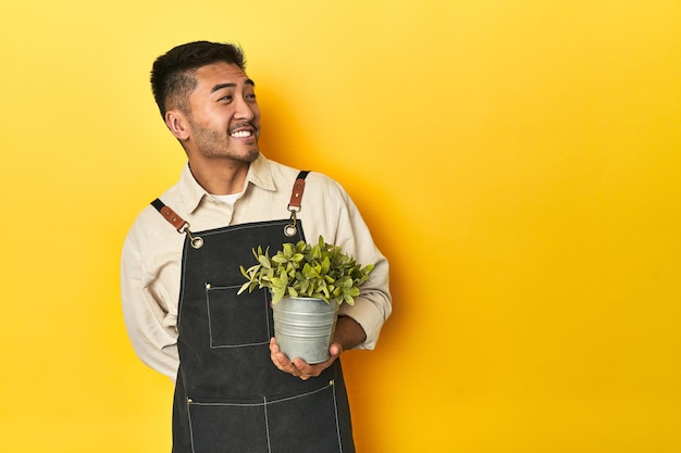 Azjatycki ogrodnik mężczyzna trzymający roślinę żółty studio tło patrzy na bok uśmiechając się wesoły i przyjemny
