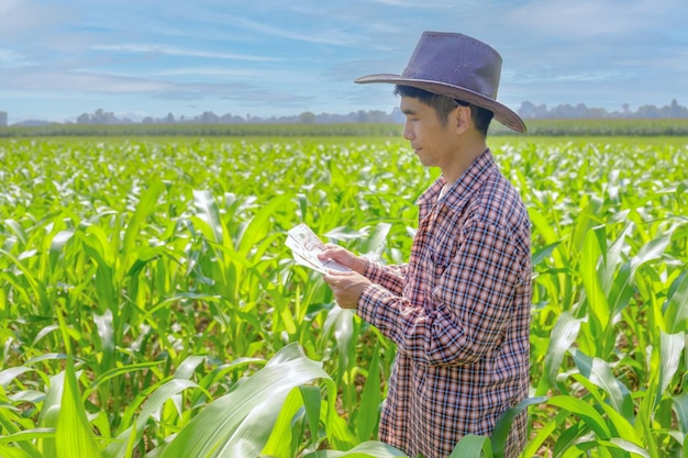 Azjatycki rolnik nosi czerwoną koszulę stojącą i trzymającą tajski banknot na zielonej farmie kukurydzy