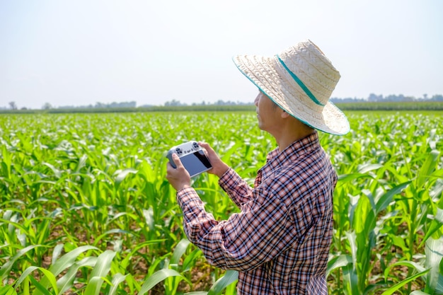 Azjatycki rolnik w pasiastej koszuli pilotujący drona na polu kukurydzy