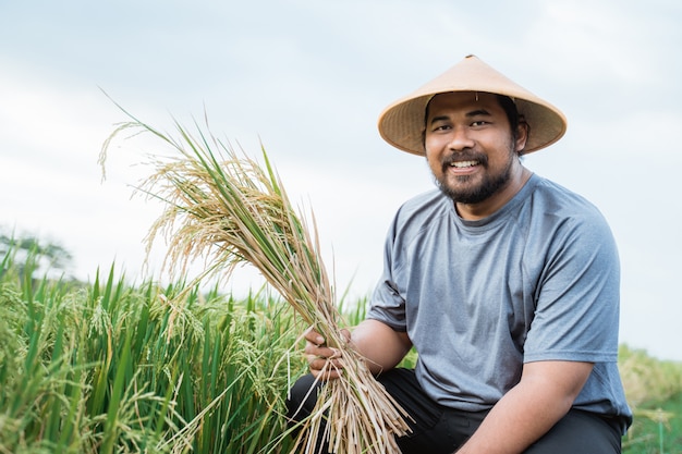 Azjatycki rolnik z kapeluszem w ryżowym polu