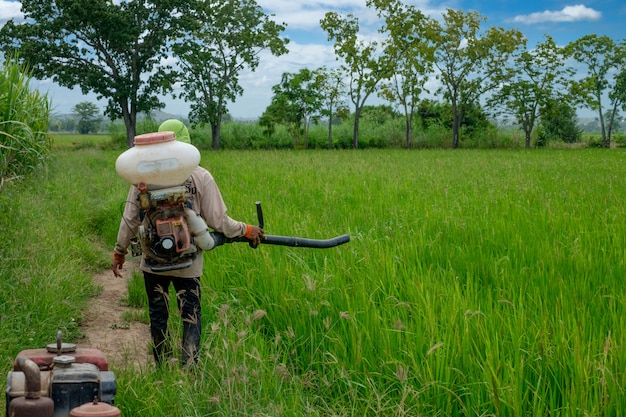 Azjatycki tajski rolnik do herbicydów lub nawozów chemicznych Wyposażenie na polach