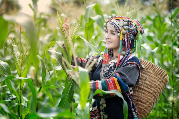 Azjatyckie dziewczyny w apartamencie Hmong w polach kukurydzy