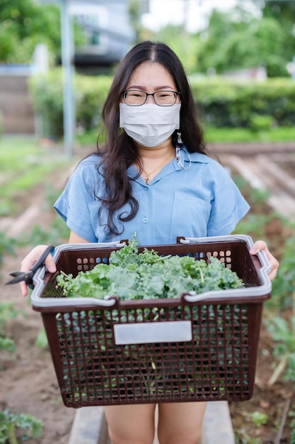 Azjatyckie szczęście Młoda rolnik kobieta nosząca maskę ochronną i zieloną świeżą jarmuż w koszu w warzywnym ogrodzie organicznym na farmie w domu przydatne dla zdrowia i wysokiej zawartości przeciwutleniaczy