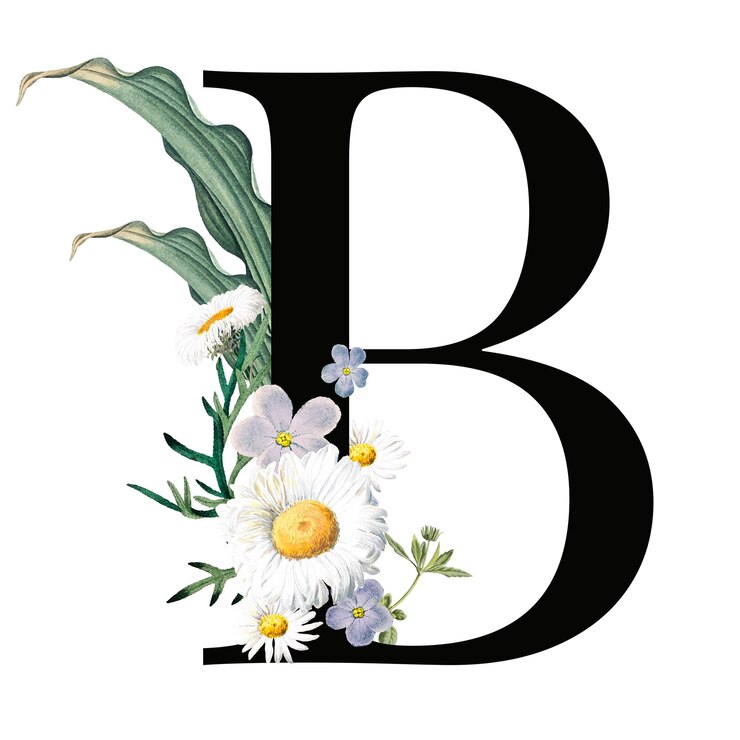 Zdjęcie b png floralna czcionka alfabetu