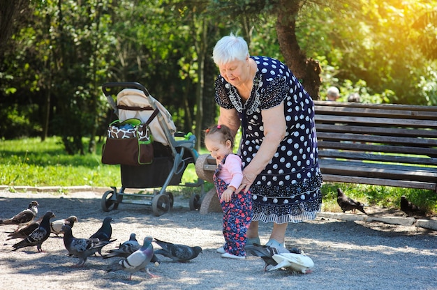 Babcia i wnuczka spacerują po parku