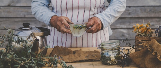 Babcia robi herbatę z ziołami leczniczymi Selektywna koncentracja