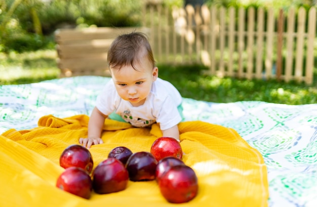 Baby boy jedzenie owoców podczas zbiorów Zabawa na świeżym powietrzu dla dzieci Zdrowe odżywianie
