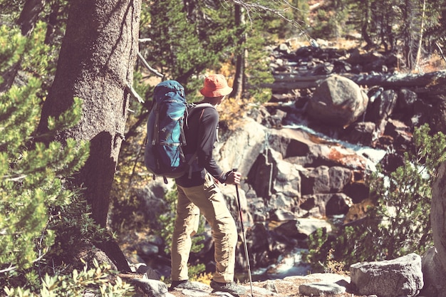 Backpacker Na Wycieczce W Letnie Góry