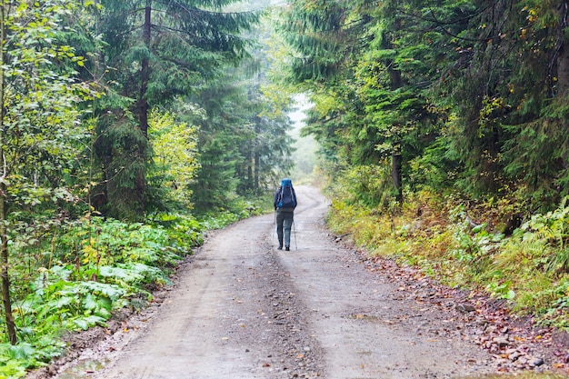 Backpacker na wycieczce w letnie góry