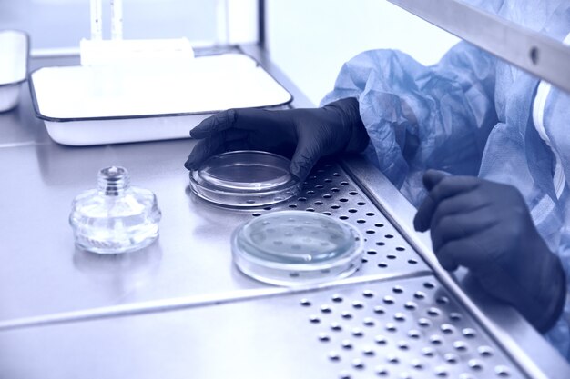 Zdjęcie badacz pracujący z szalką petriego z bakteriami w koncepcji laboratorium bakteriologicznego