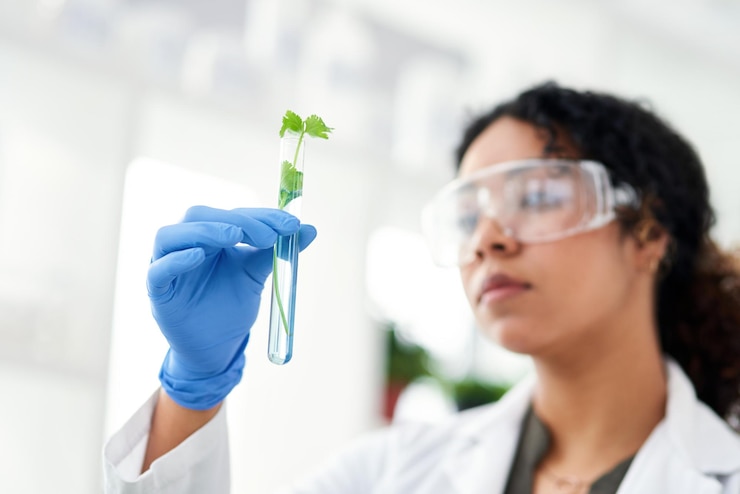 Zdjęcie badania laboratoryjne i kobieta z rośliną w probówce do rozwoju gmo wzrost lub inspekcja w nauce biotech natura i naukowiec z liściem do badania zrównoważoności lub innowacji w rolnictwie