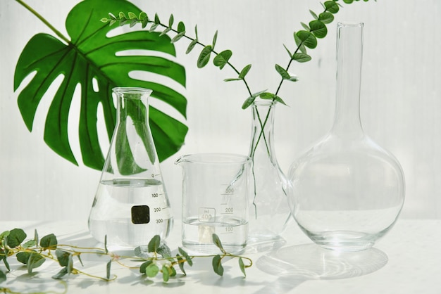 Badania nad naturalnymi lekami Ekstrakcja roślin w naukowym szkle laboratoryjnym na kosmetyki Alternatywne zielone zioła lecznicze Minimalna organiczna pielęgnacja skóry pielęgnacja urody