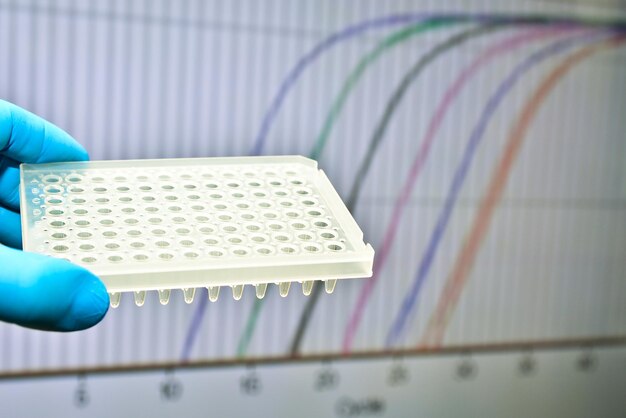 Badanie DNA metodą Real Time PCR