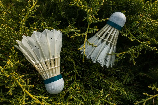 Zdjęcie badminton shuttlecocks