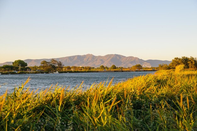 Bagna Emporda