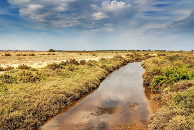 Bagna Rzeki Odiel W Huelva