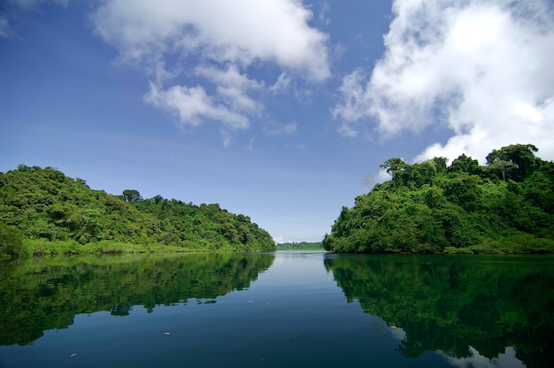 Bagno namorzynowe w Parku Narodowym Coiba Wyspa Coiba Prowincja Veraguas Ocean Spokojny Panama