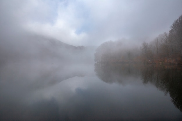 Zdjęcie bagno santa fe z mgłą, park przyrody montseny