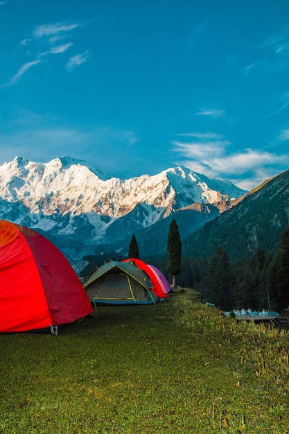 Bajkowe łąki Nanga Parbat Piękny Krajobraz Góry Widok