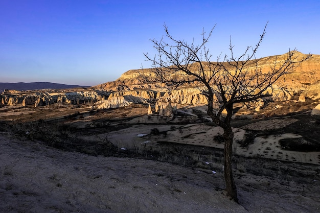 Bajkowy Komin I Góra W Kapadocji Göreme Turcja