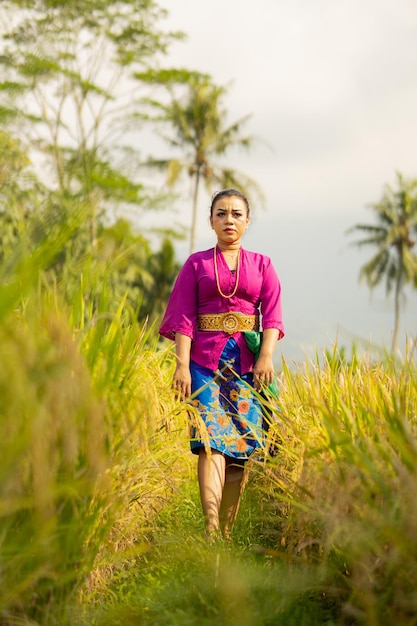 Balijska kobieta w fioletowej sukience stojąca między zielonym polem ryżowym