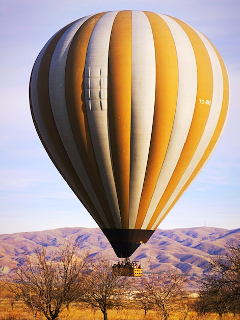 Zdjęcie balon na gorącym powietrzu nad krajobrazem na tle nieba