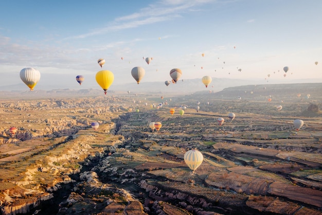 Balony na gorące powietrze latające nad krajobrazem