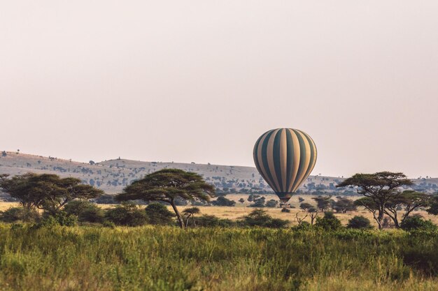 Balony na gorące powietrze latające nad krajobrazem