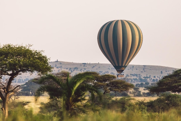 Zdjęcie balony na gorące powietrze latające nad krajobrazem