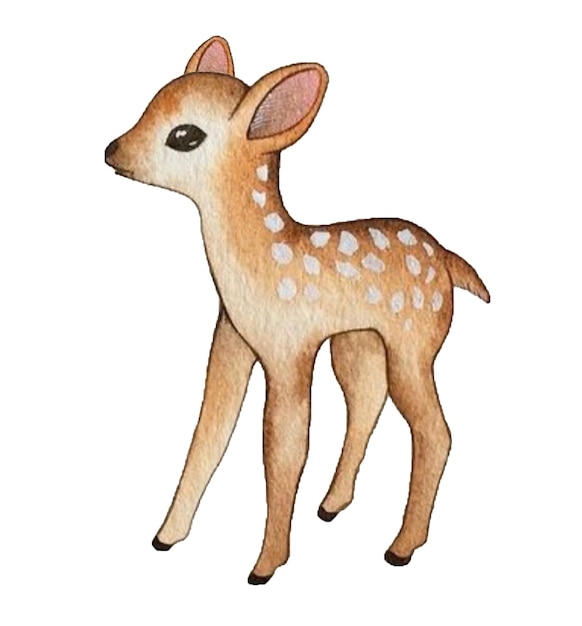 Bambi akwarela rysunek