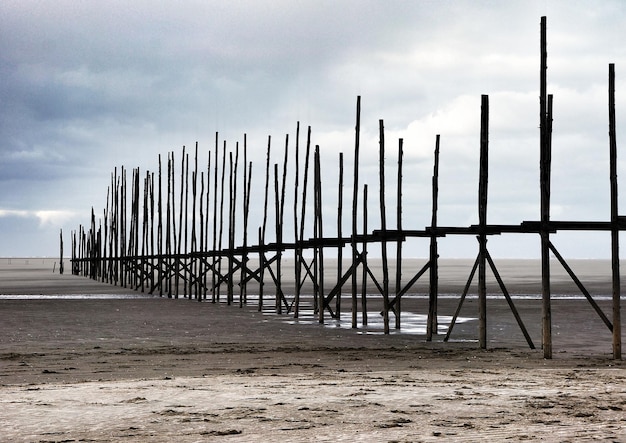 Zdjęcie bambus na plaży na tle nieba