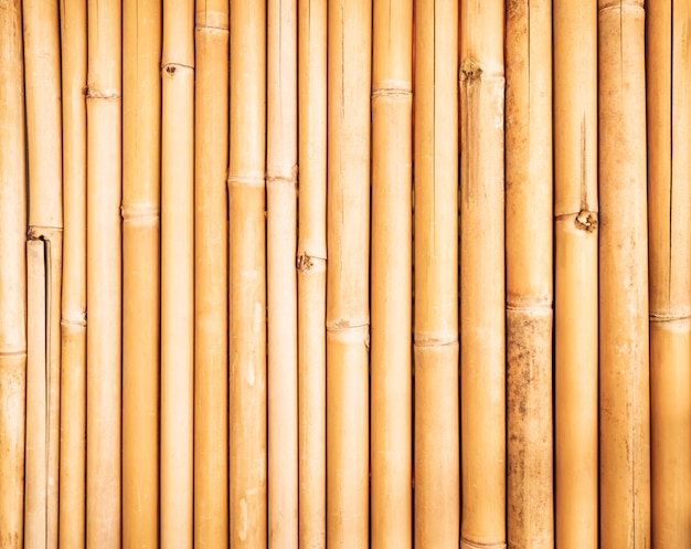 Bambus Tekstury Płotowy Tło