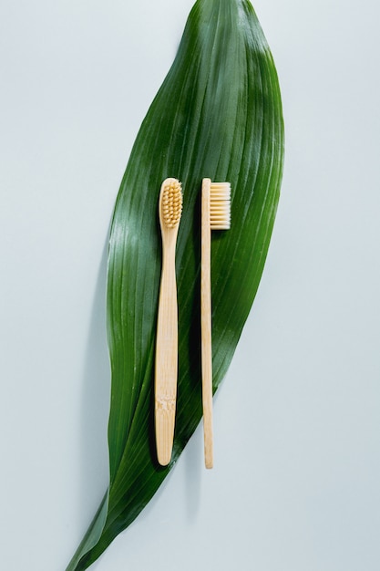 Zdjęcie bambusowe szczoteczki do zębów w kolorze pastelowym