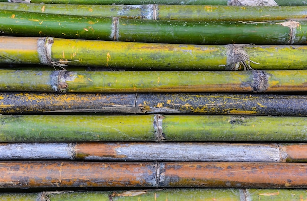 Bambusowe tło tekstury w poziomie