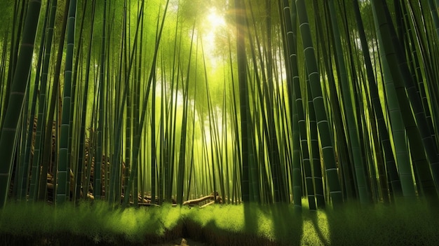 Bambusowy las ze ścieżką pośrodku i słońcem świecącym na ziemi.